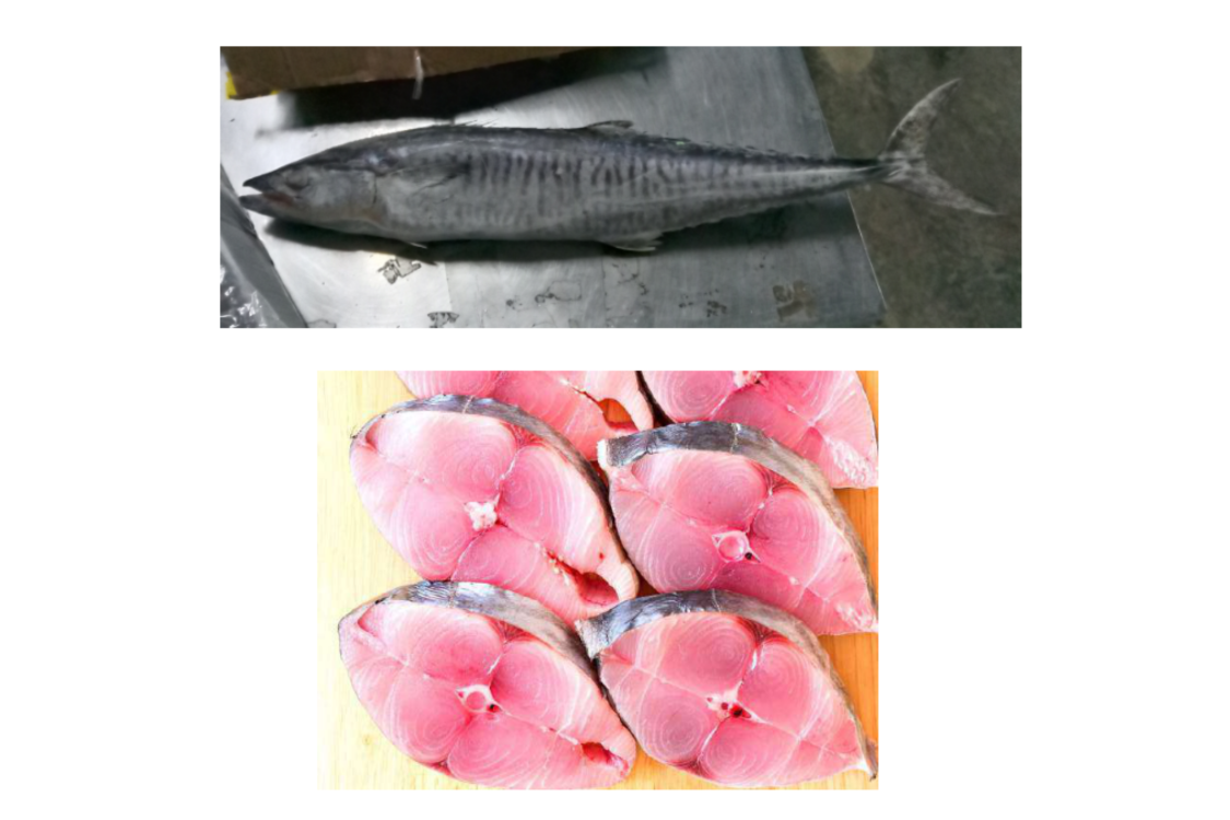 Mackerel - Gambar 3