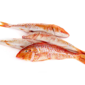 Red Mullets