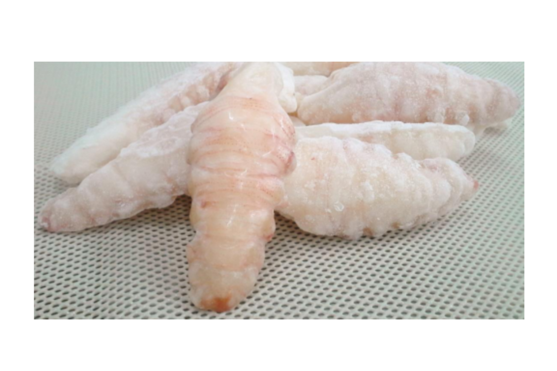 Slipper Lobster - Gambar 3